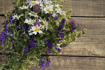 a bouquet of wild flowers, chamomile, clover and weasel on the background of old wooden planks