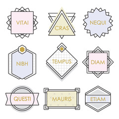 Obraz premium Cute geometrical line vintage emblems and labels set on white background