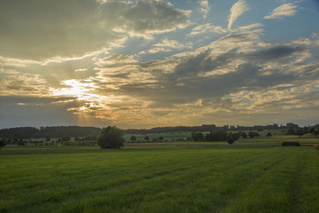 sunrise on the field