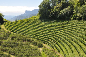 Südtirol, Marlinger Waalweg, Schloss Lebenberg