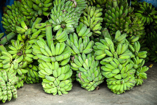 A harvest of saba bananas on display at a roadside stall in Kota Kinabalu, Malaysia