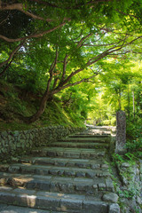 化野念仏寺