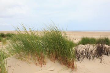 View on the sandy beach