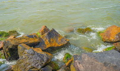 Dike along a lake in summer