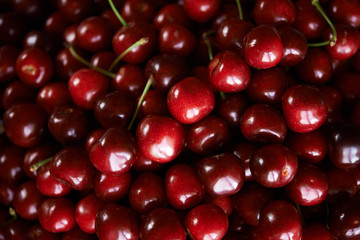 cherry background