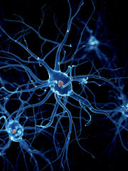 3d rendered illustration of a nerve cell