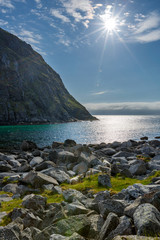 Fototapeta na wymiar Landscape with sea, mountains and sheeps, Lofoten, Norway