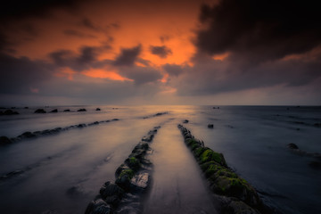 Green moss on the stones, Barrika beach sunset