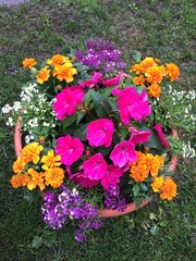 vaso di fiori fiore fioraio giardino giardinaggio moda decorazione vaso vasi