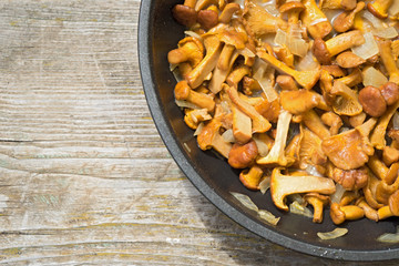 chantarelle mushrooms on a frying pan with copy space on a wooden background