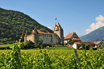 Fototapeta na wymiar Il castello di Aigle, Cantone di Vaud - Svizzera