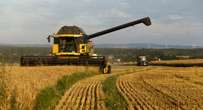 Mähdrescher bei der Ernte