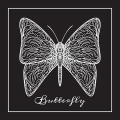 Hand drawn butterfly