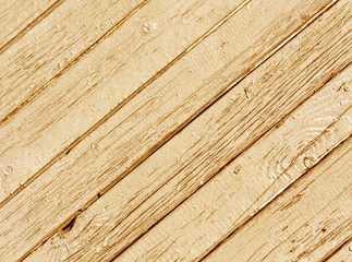 Abstract color paited wooden texture.