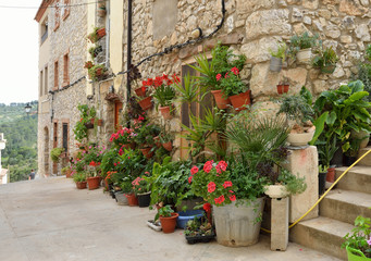 Fototapeta na wymiar Street decorated with flowers in the pots