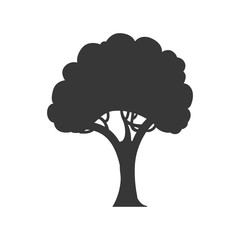 Nature concept represented by tree silhouette icon. Isolated and flat illustration 