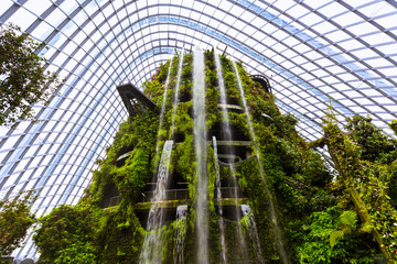 Fototapeta premium Cloud Forest Dome w Gardens by the Bay w Singapurze