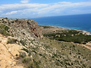 Fototapeta na wymiar fossilised coral reef Santa Pola Alicante Spain 