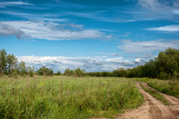 Fototapeta na wymiar Road through a field with green grass