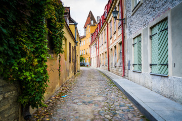 Fototapeta na wymiar A narrow cobblestone street, in the Old Town of Tallinn, Estonia