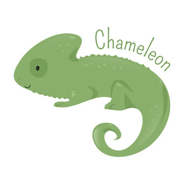 Chameleon isolated. Child fun pattern icon.