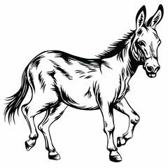 Donkey Stylized Drawing Illustration Vector