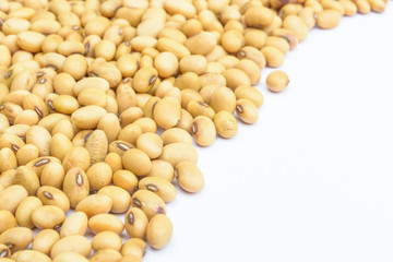 Soybean seed with white background