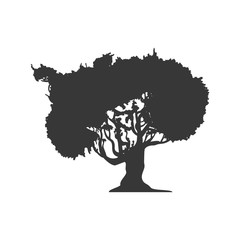 Nature concept represented by tree icon. Isolated and flat illustration 