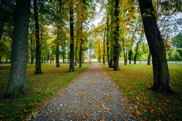 Early autumn color along a walkway seen at Kadrioru Park, in Tal