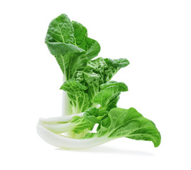 Bok choy vegetable isolated on white background