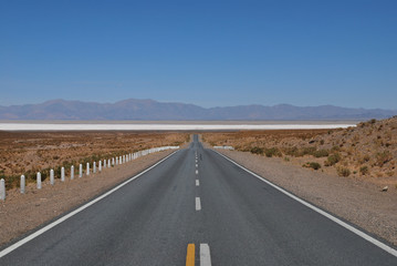 Plakat straight road towards salinas grandes high up in the andes, Jujuy, Salta, Argentina