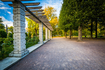 Trellis at Kadrioru Park, in Tallinn, Estonia.