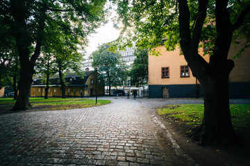 Walkway and trees outside The Church of Saint Clare (Klara Kyrka
