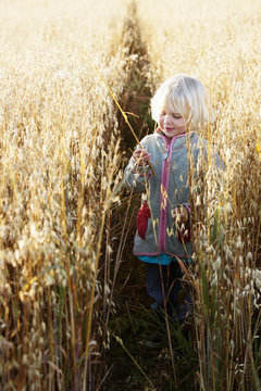 Sweden, Gothenburg, Bohuslan, Olofstorp, Girl (2-3) playing in oat field