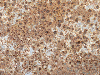 background of rusted metal and paint