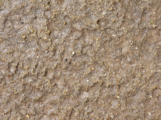soil wet texture