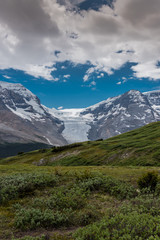 Fototapeta na wymiar View of Athabasca Glacier from Wilcox Pass