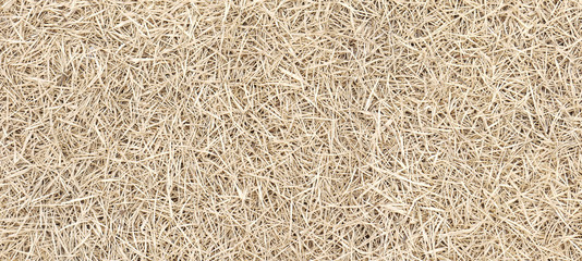hay dry grass texture