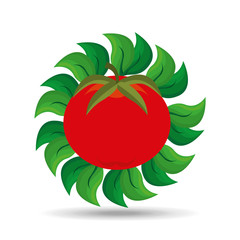 vegetables and fruits