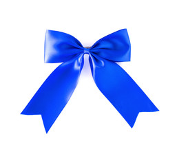 Blue hair bow