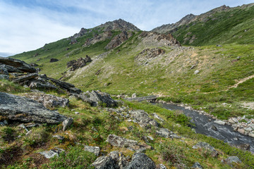 Denali National Park