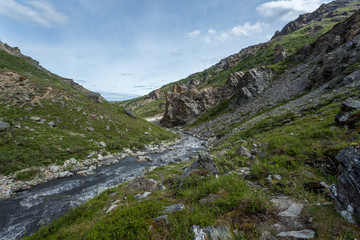 Fototapeta na wymiar Denali National Park