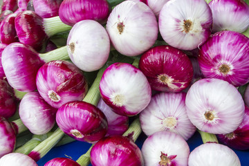 Pungent red onions for sale at a farmer's market