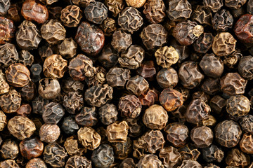 Whole black peppercorns closeup for maximum detail