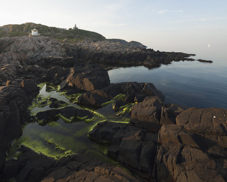 Sweden, Skane, Kullaberg, Coastal rocks and algae