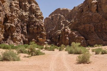 Enter to Barrah Canyon. Wadi Rum (Valley of the Moon), Jordan. 