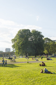 Sweden, Uppland, Stockholm, Kungsholmen, Ralambshovsparken, People in park at sunset