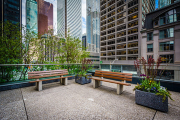 Benches and modern buildings in downtown Toronto, Ontario.