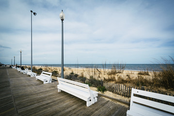 Benches on the boardwalk in Rehoboth Beach, Delaware. - obrazy, fototapety, plakaty