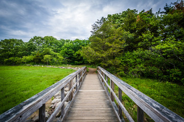 Fototapeta na wymiar Boardwalk trail at Odiorne Point State Park, in Rye, New Hampshi